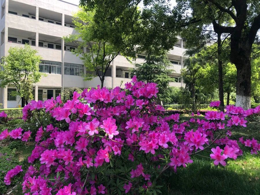 推断文言实词词义的基本方法,文言文实词推断法及练习题