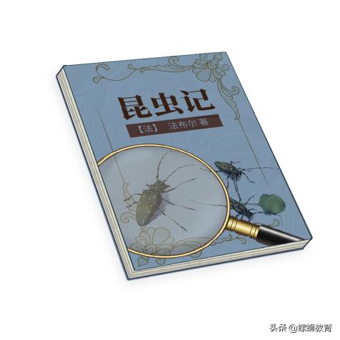 昆虫记速看,昆虫记必考内容瞬间读懂整本书