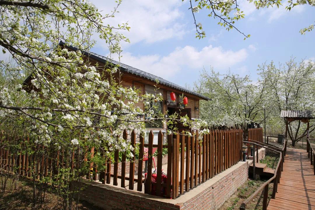 什么？考生与家长不能同框？