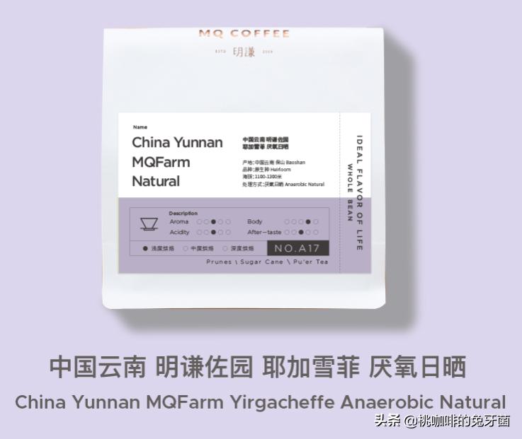 云南咖啡有远山森林的味道吗,云南咖啡产地探访记