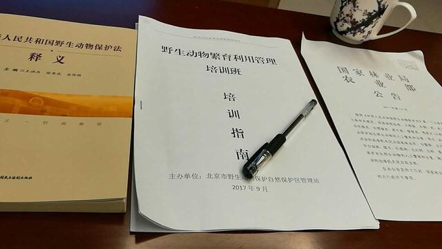 养鹦鹉如何办理个人驯养许可证,鹦鹉繁殖驯养证的有效范围