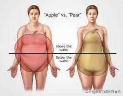 腰臀比健康值范围,腰臀比对应身材