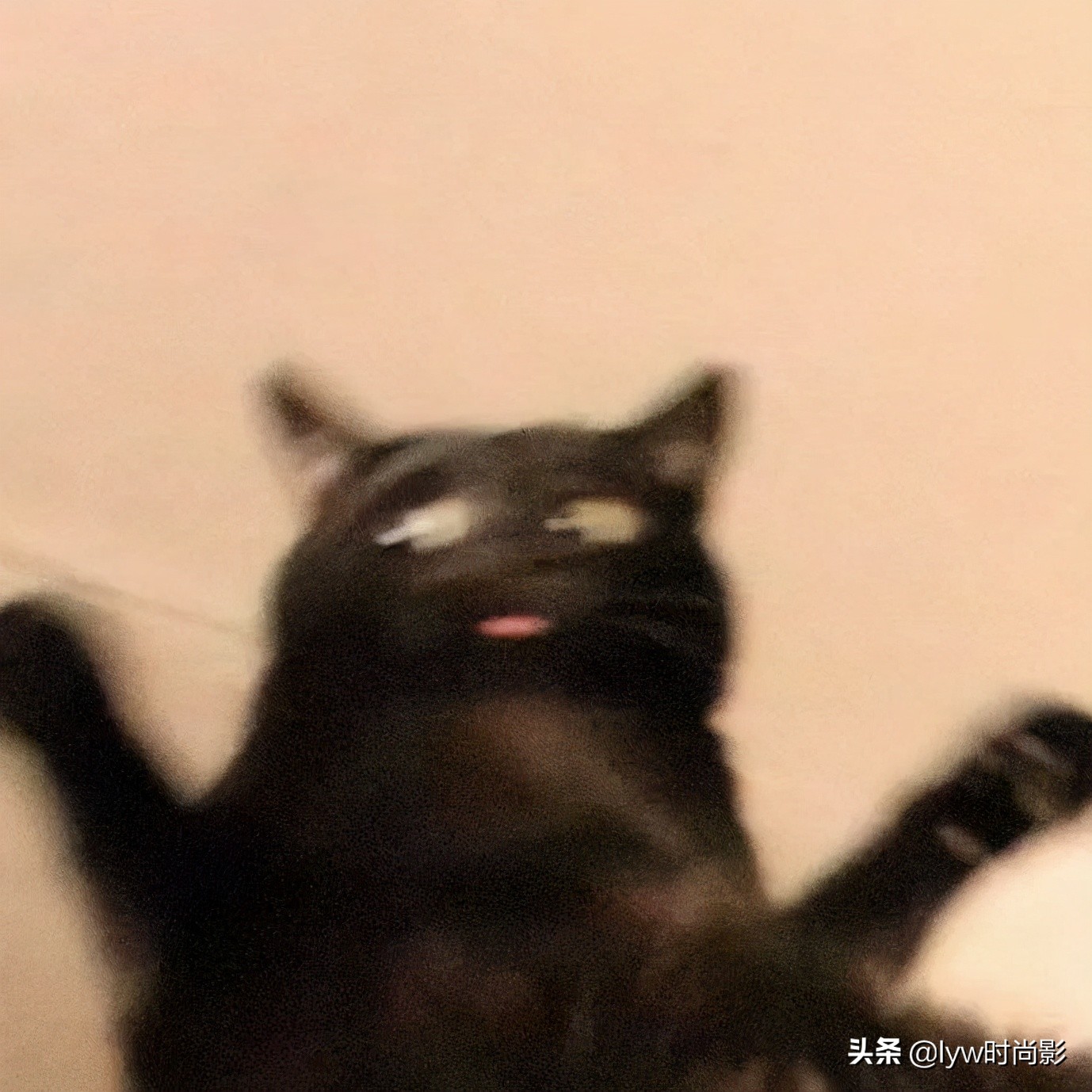 平价防晒霜你囤好了吗,这些防晒霜真的别再用了