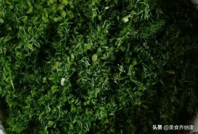 茴香在北方冬天能过冬吗,茴香是在什么季节可以吃