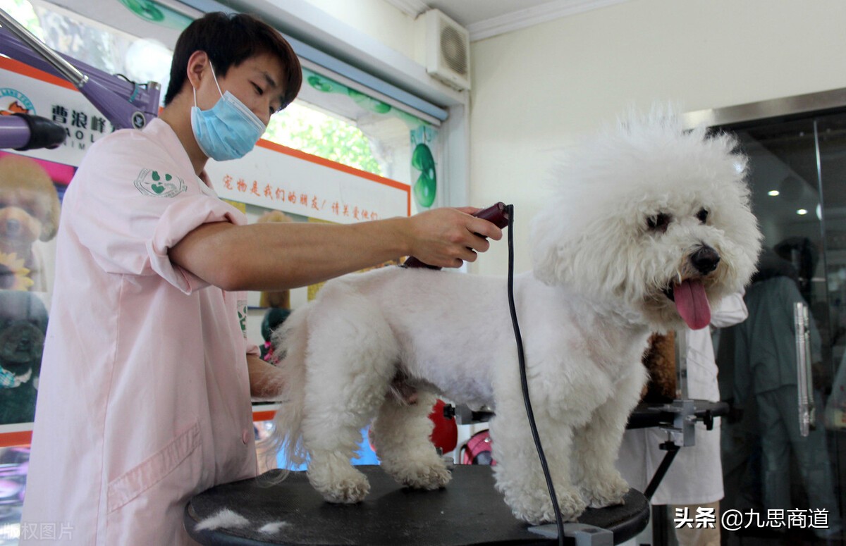 60后大叔开宠物店：推出充3000送3000返3000，14天吸引800名会员