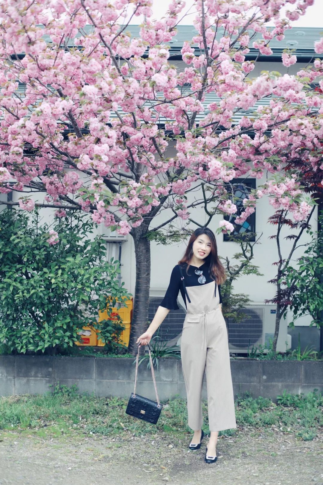 带着父母坐游轮到日本旅游,搭上邮轮去带着全家去旅行