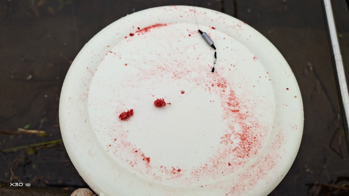 鲮鱼不打窝,钓鲮鱼的技巧和饵料