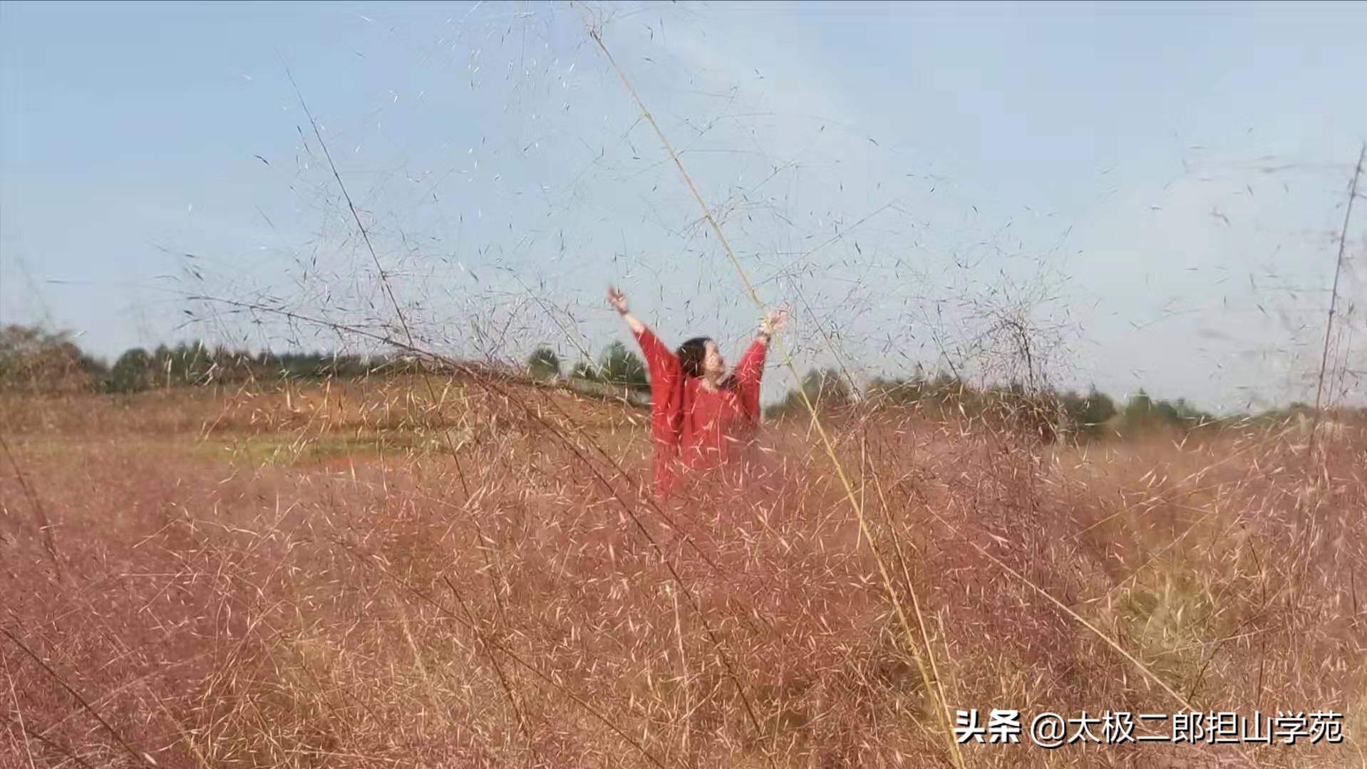 长沙郊游洋沙湖五彩花田半日游,长沙洋湖旅游推荐