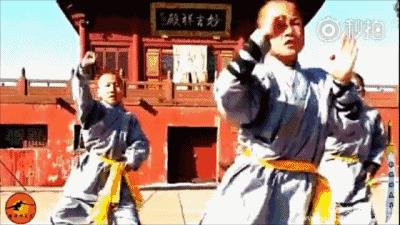 七律祝贺野草诗社成立四十周年,七绝祝贺野草诗社成立四十周年