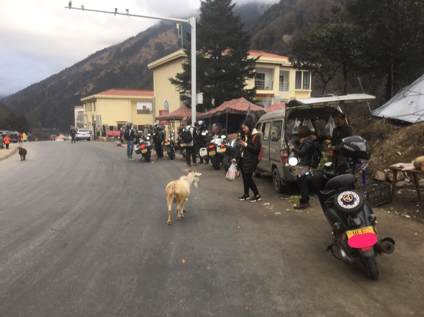 小龟王踏板车摩托车,小龟王踏板车整套外壳