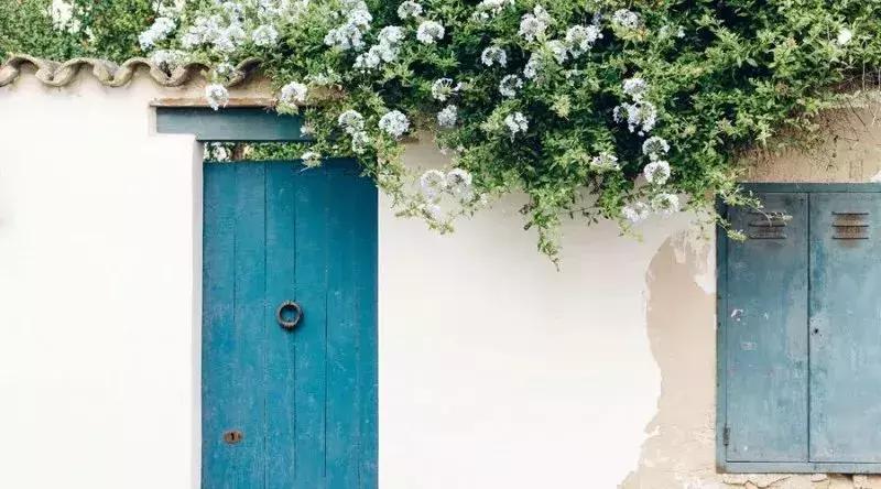 描写夏天景色的好词好句好段,有鸽子的夏天好词好句好段