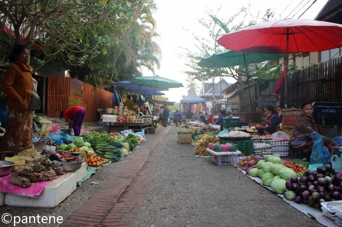3月旅行最佳选择,3月旅行地点推荐亲子