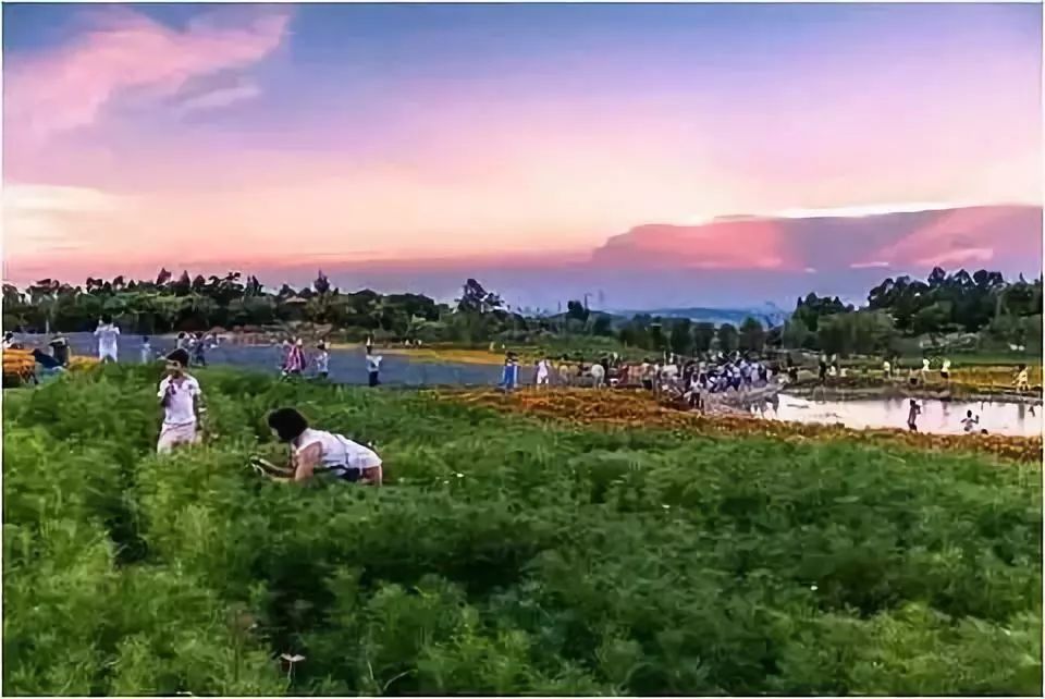 在厦门有一个又大又漂亮的公园,厦门东山水系公园