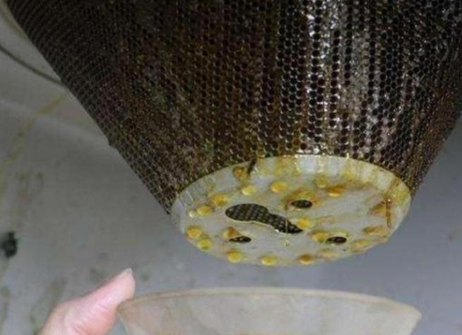 在超市看到这种“纸”多买几盒，粘油烟机上一年不用洗，超级实用