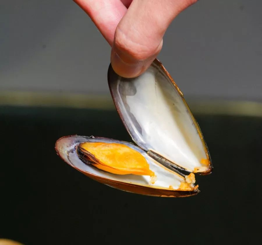 吃在济南｜超大大大号西班牙海鲜饭，海鲜比饭多！不服来战