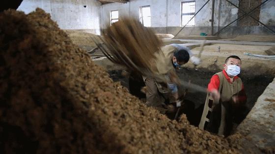 古井贡酒发展潜力,古井贡酒成长轨迹