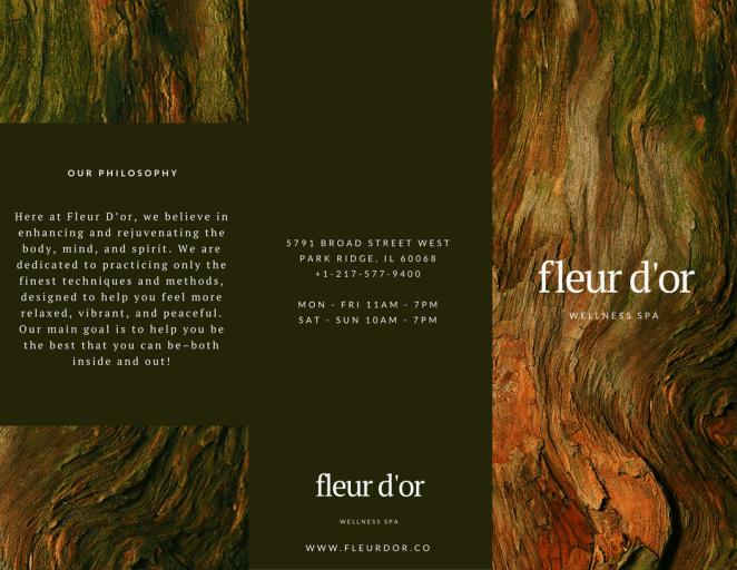 三折页设计案例展示极简风格,三折页设计软件