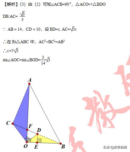 相似的手拉手模型导学案,构造手拉手相似三角形模型