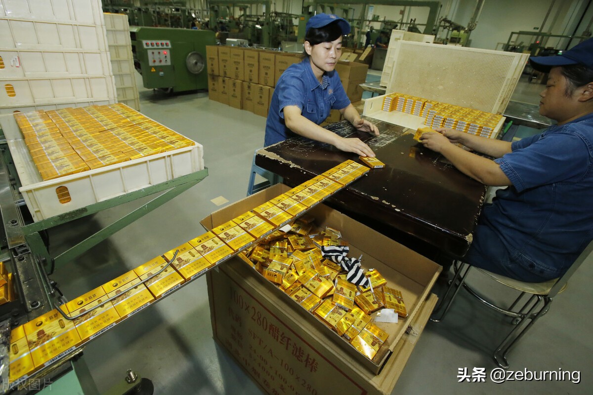 烟草公司应届毕业生比较好进入吗,烟草专业毕业生进烟厂