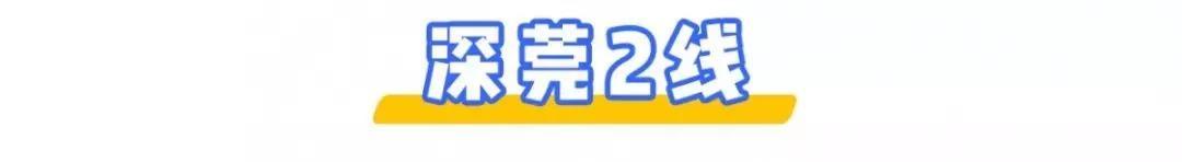 深圳⇌东莞12条公交线大合集!2块钱起步