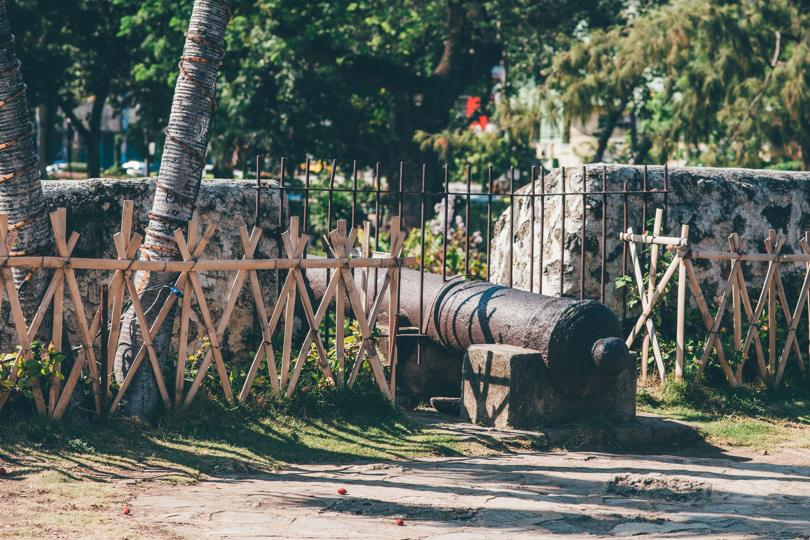 菲律宾宿务薄荷岛旅游攻略华人 (菲律宾宿雾城市风景)