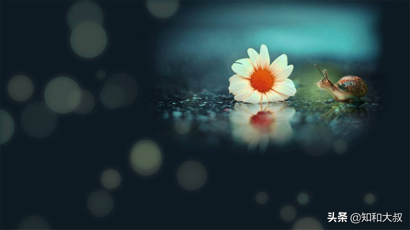 一个被别人瞧不起的人该怎么办,被人瞧不起时如何做好三件事