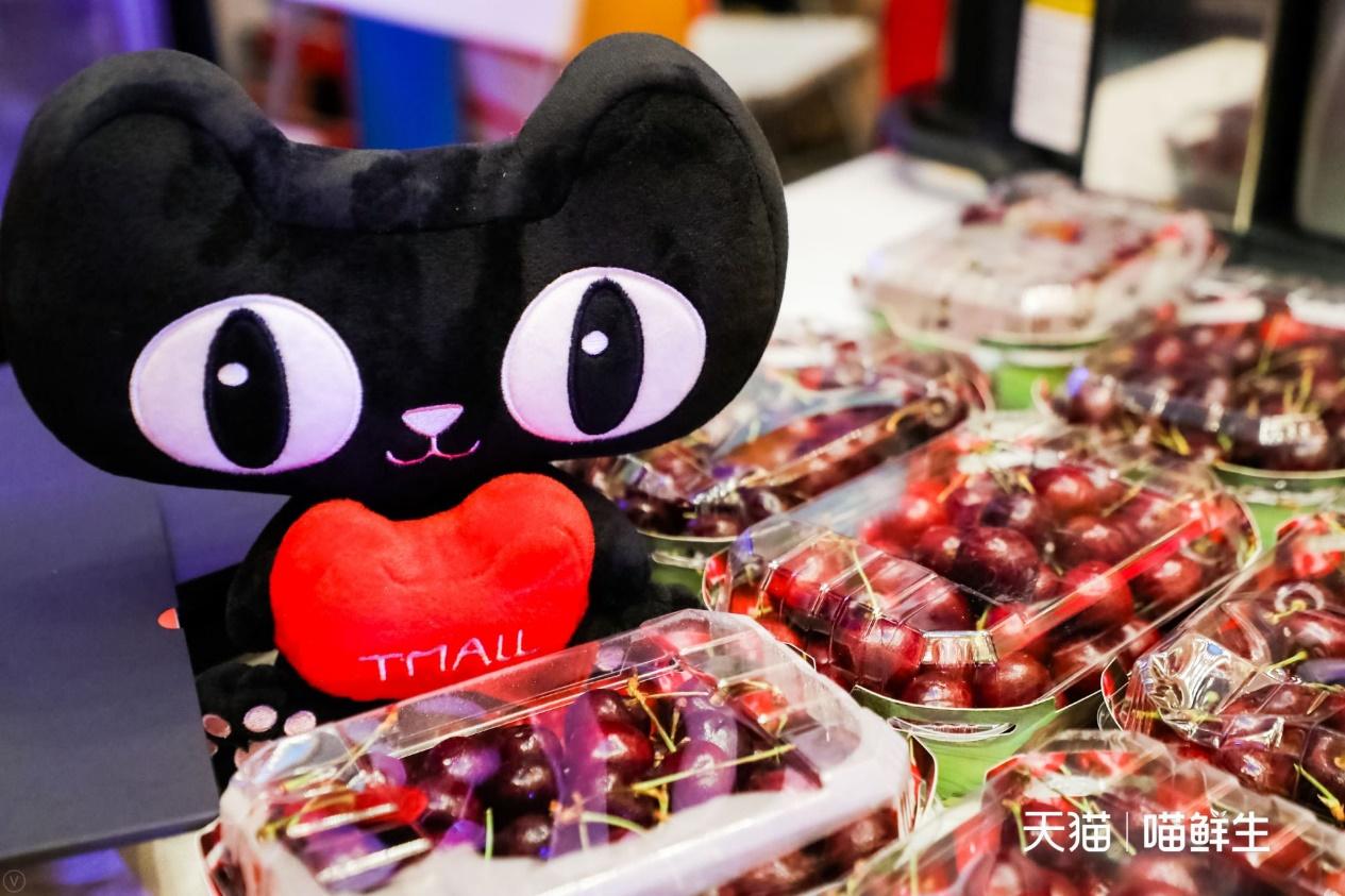 智利官方旗舰店,智利天猫国家旗舰店