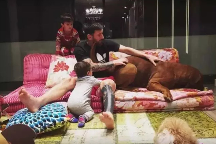 “世界足球先生”梅西，连房子的设计都体现着对足球的深沉热爱。