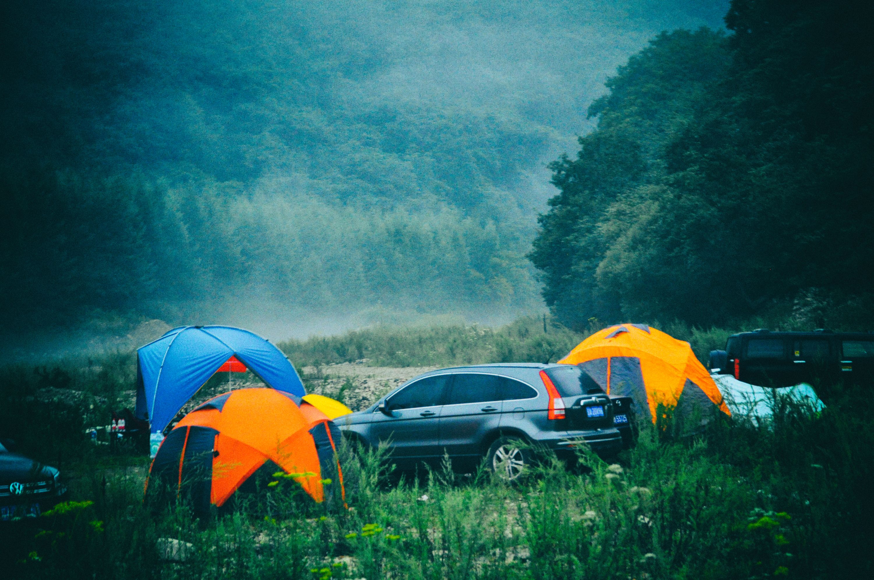 我的旅行群几百人，85%女性、我是群主，说说群里的那些奇葩事儿