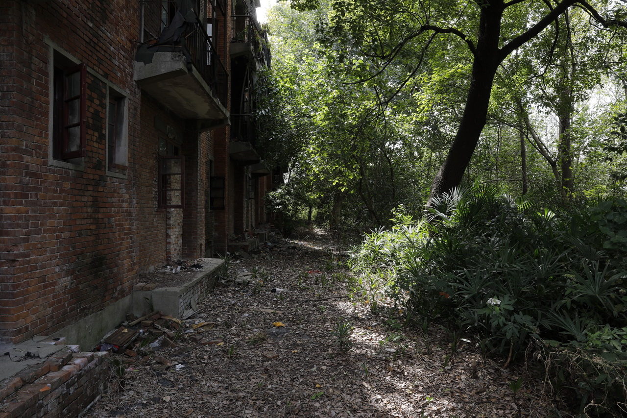 武汉市第七砖瓦厂陈建华,武汉砖瓦厂的发展现状