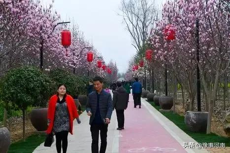 河南许昌樱花景点,许昌樱花最美的地方