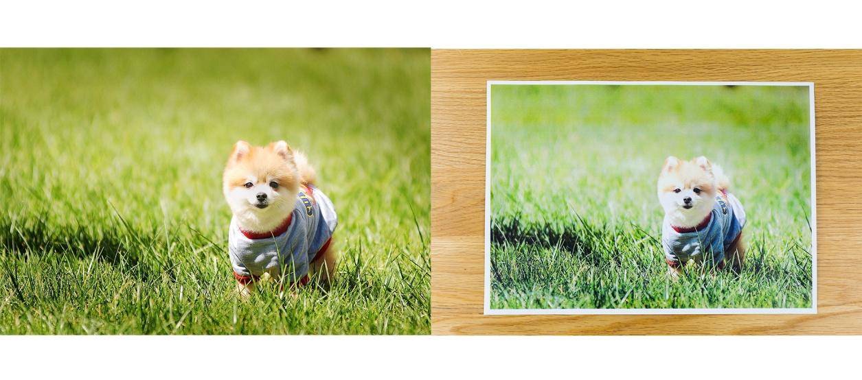 联想一体机cm7110w能打照片吗,联想cm7110w彩色打印机清零方法