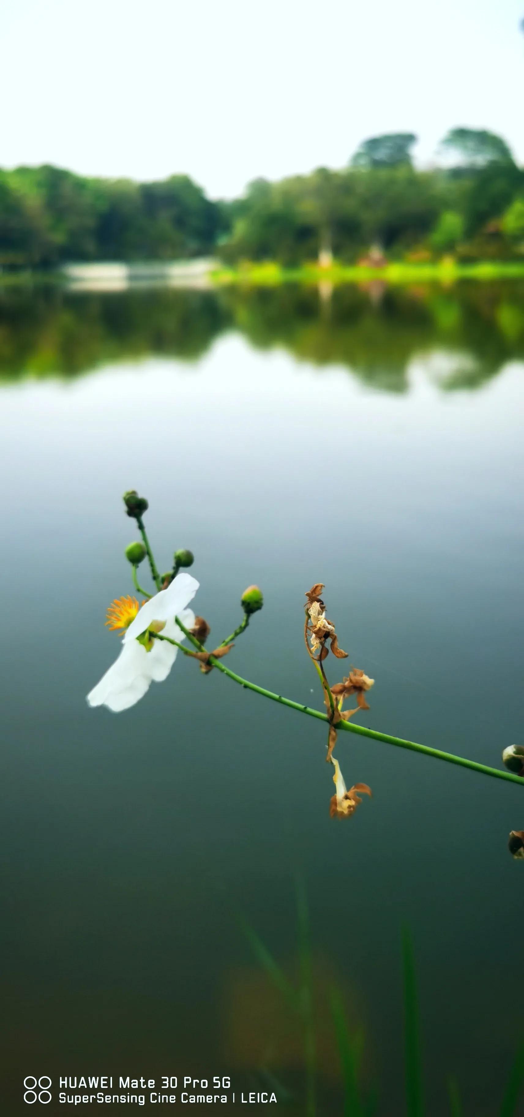 涓滆帪鑾炲煄鍙洯,涓滆帪鑳滄櫙鏃呮父