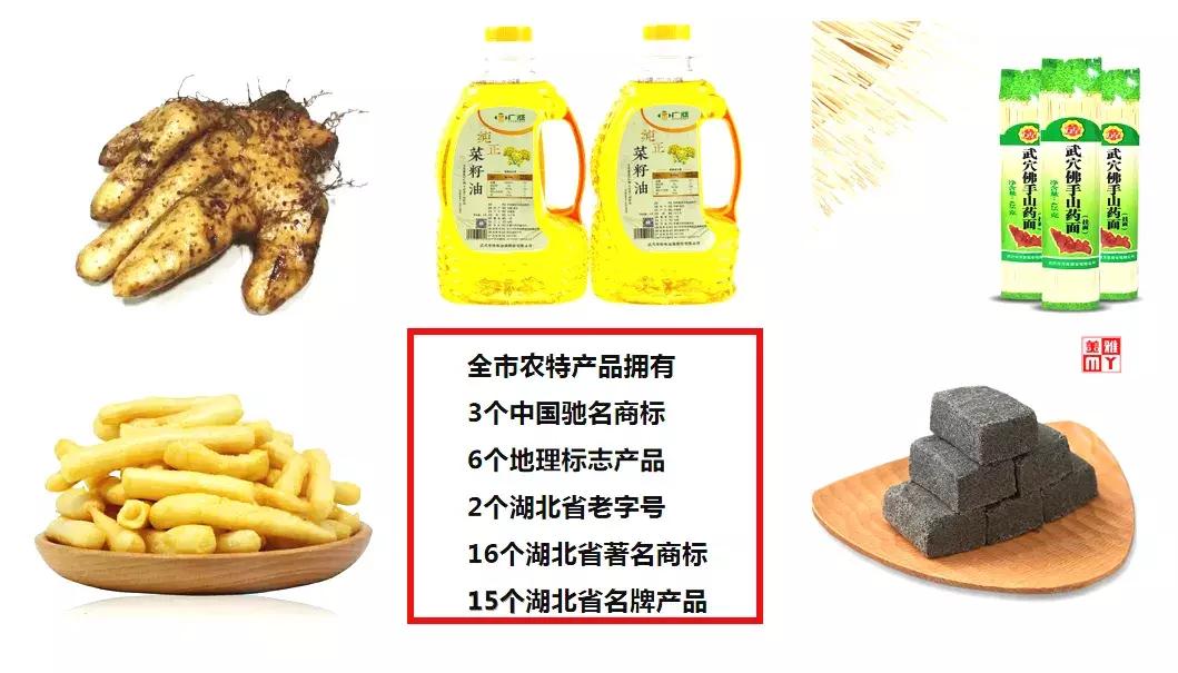 武穴有名的电商,武穴电商有限公司