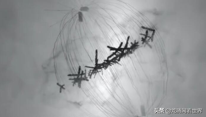 「龙腾网」医学动画:《精子卵子一相逢》