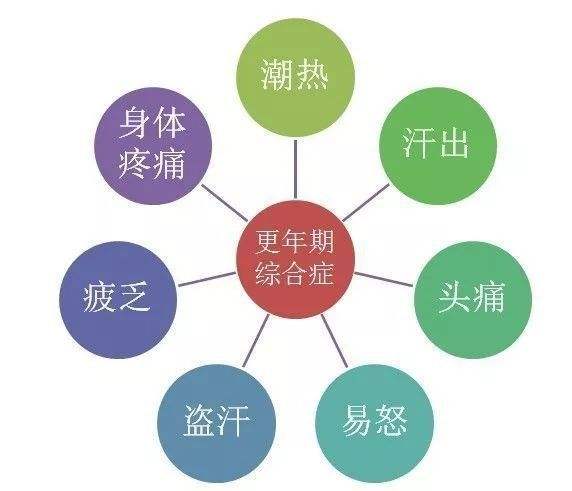 送给妈妈健康好物,适合给母亲的保健礼物