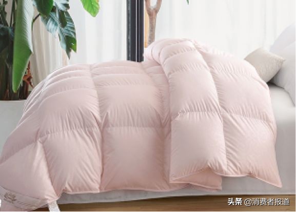 鹅绒羽绒被十大排名富安娜,2022年冬季羽绒被性价比高的品牌