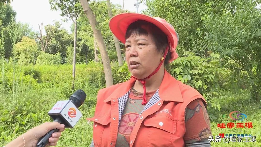 百名劳动者畅谈百年丨李从英：美丽的“城市黄玫瑰”