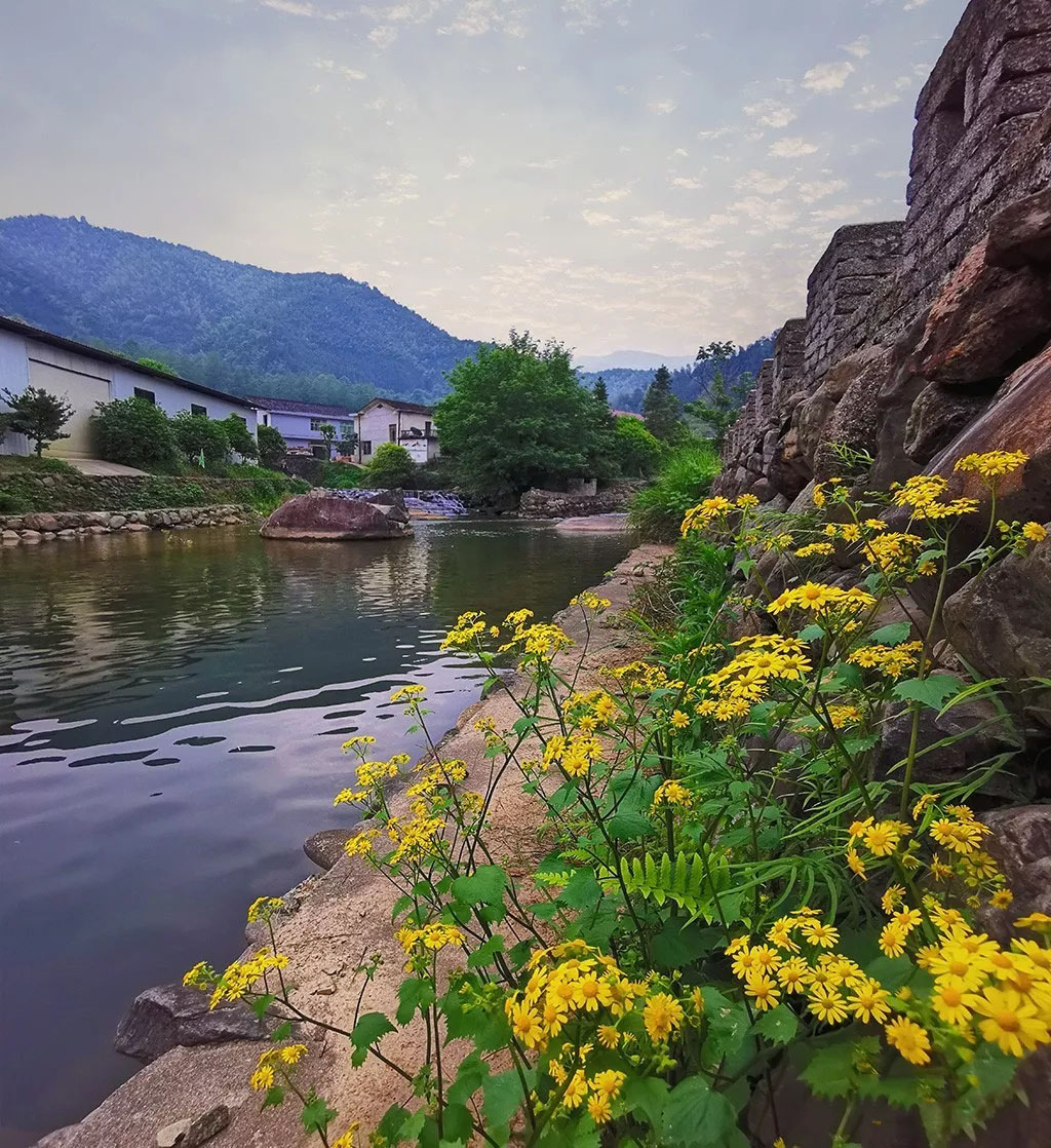 向往田园生活和体验往往有差距,向往田园生活却又逃避田园生活