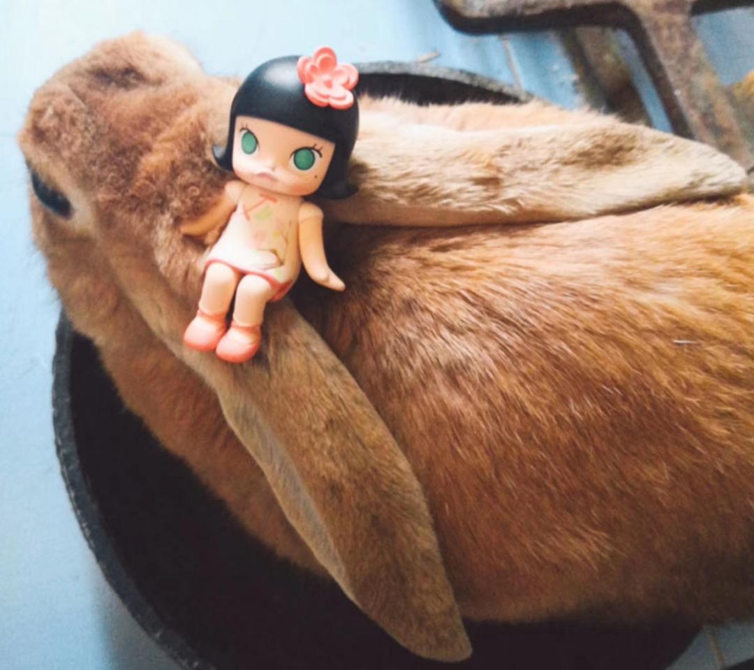 保研后又考上事业单位,保研以后就是永远留在学校任教吗