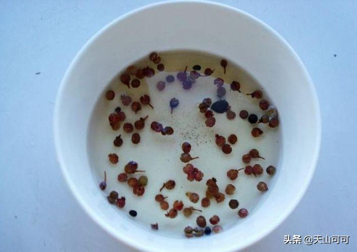 牛肉圆葱馅饺子怎样调馅儿小窍门,牛肉做馅怎么去腥