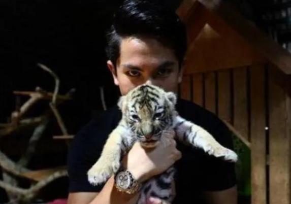 文莱最帅王子个人资料,文莱最帅的王子是谁