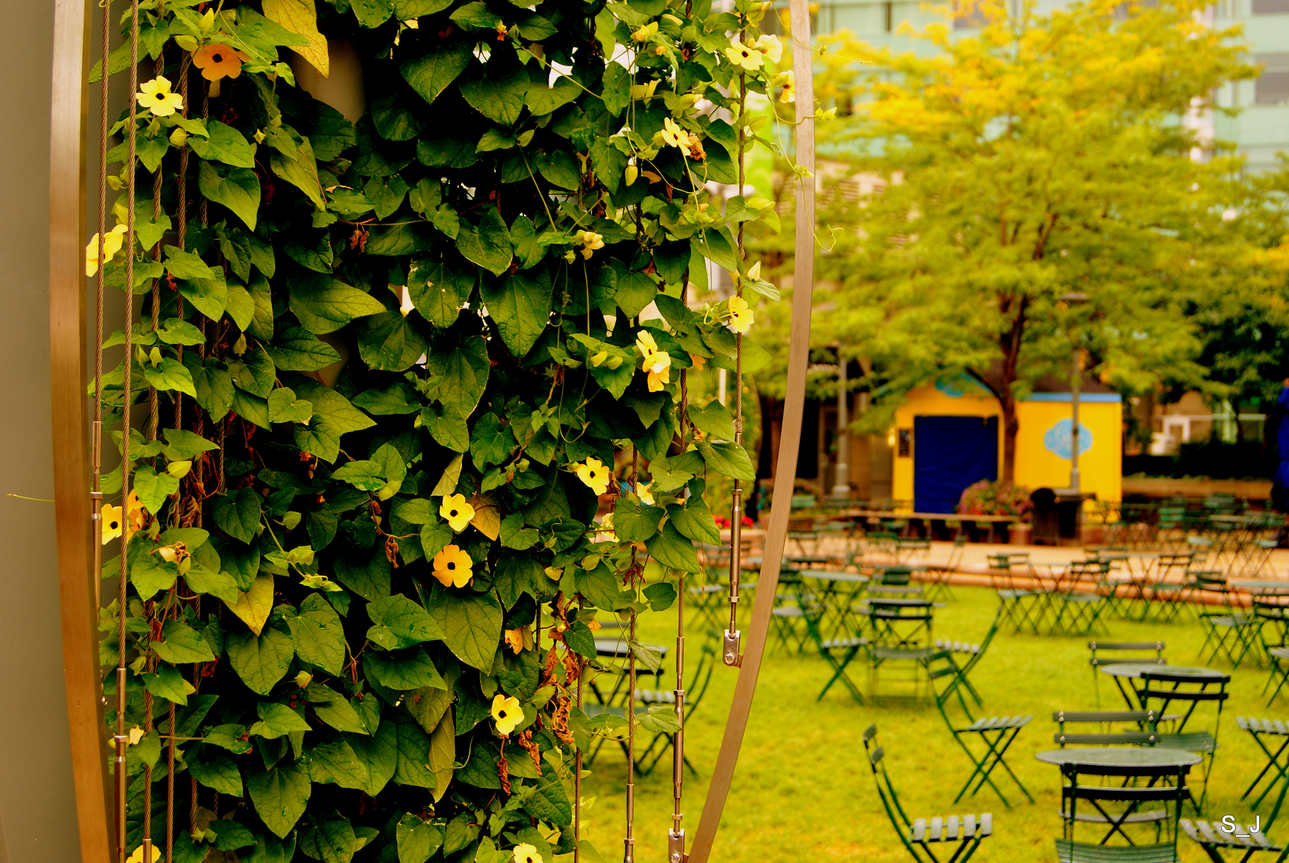 底特律美国曾经的第四大城市,美国底特律最混乱的地方