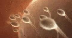 你们是如何发现自己怀孕的,你是怎么发现自己怀孕的是什么梗