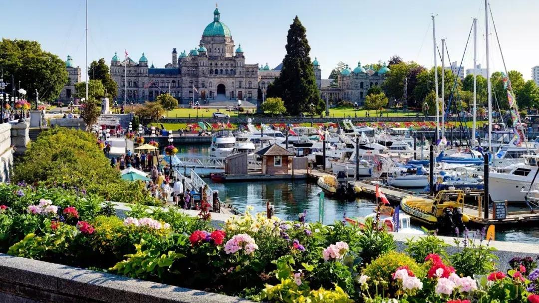 维多利亚国际排行,维多利亚城市风光