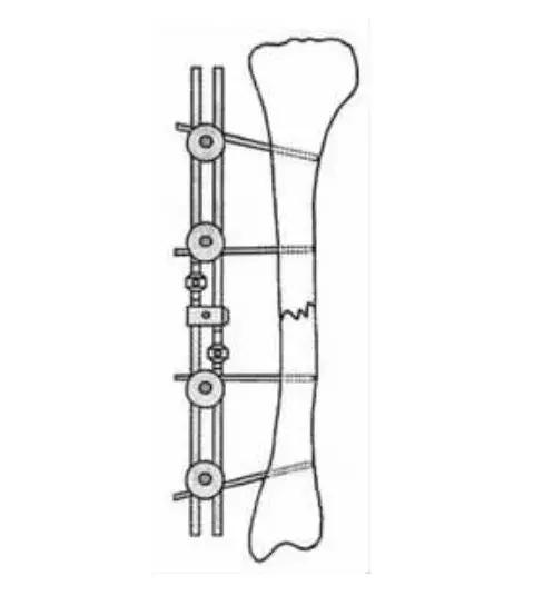 猫咪狗狗骨折了怎么办？扒一扒宠物“骨子里”的那些事