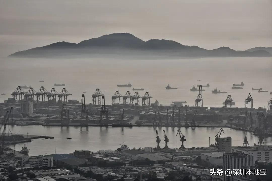 深圳经济特区民生建设,深圳经济发展方向南山区