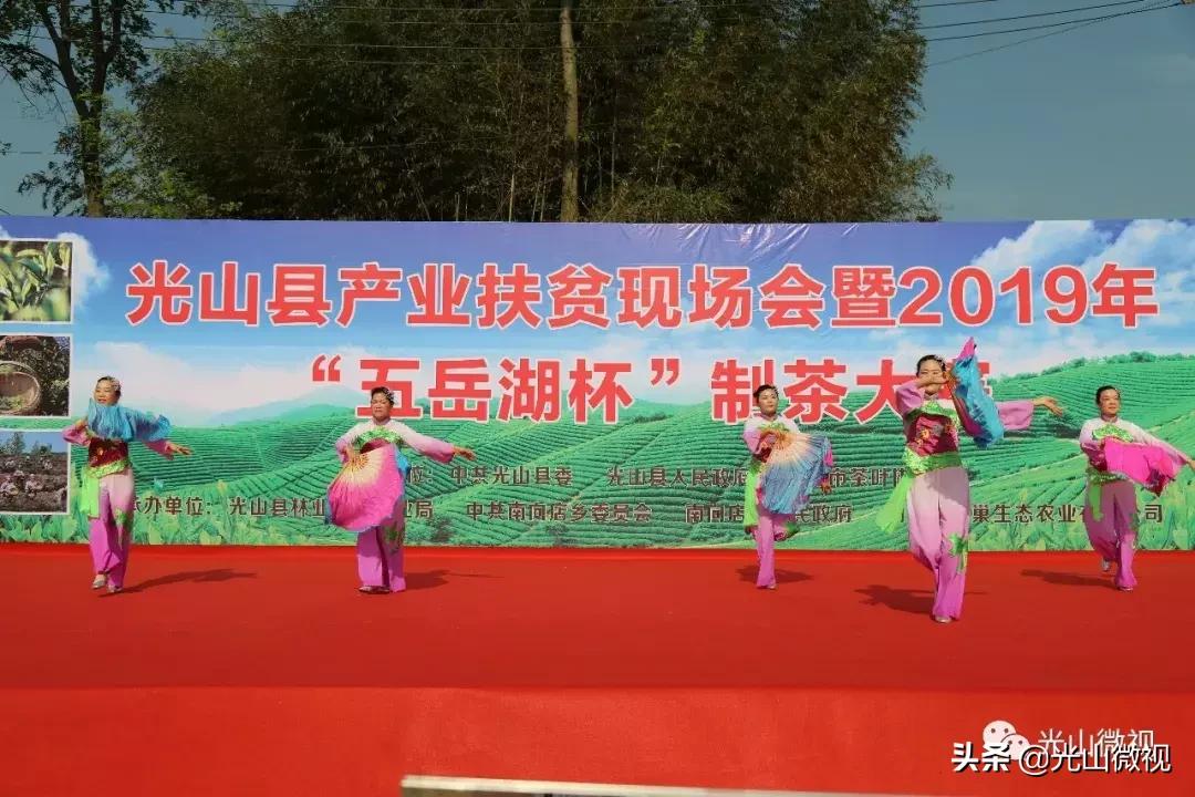 光山斗茶大赛完整版,信阳斗茶大赛获奖