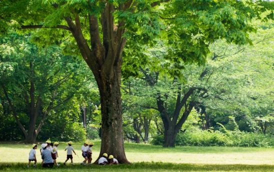 中海橡树园二期园林,中海橡树园评价
