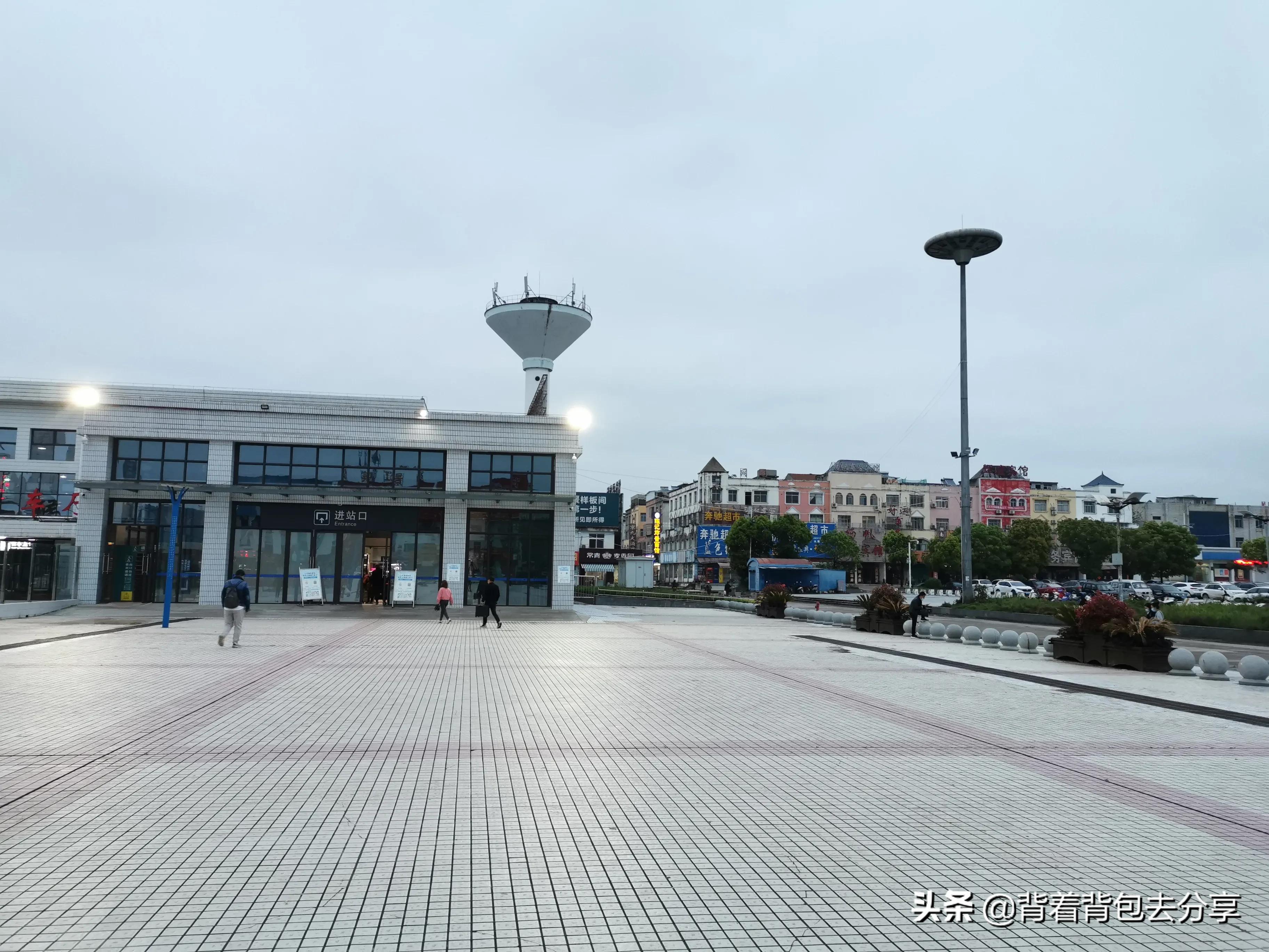 麻城看杜鹃花攻略,去麻城看杜鹃攻略